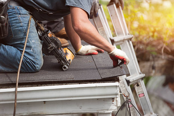 Best Shingle Roofing Installation  in Lake Hamilton, FL